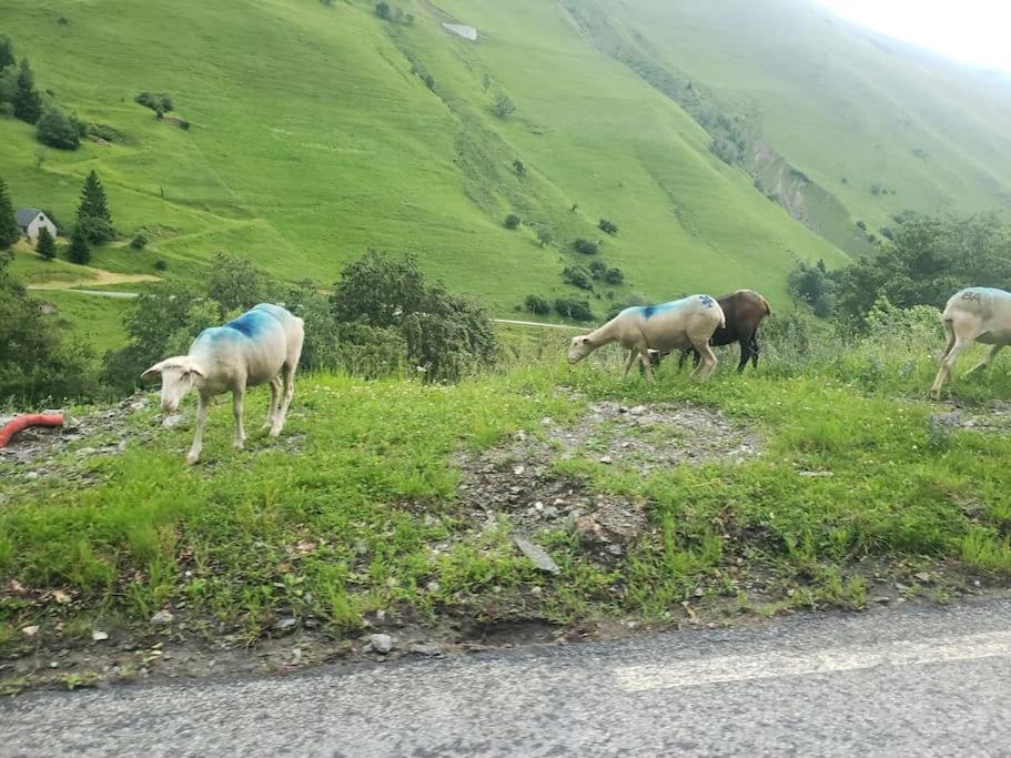 圣拉里苏朗Vue Panoramique Sur Les Pyrenees公寓 外观 照片